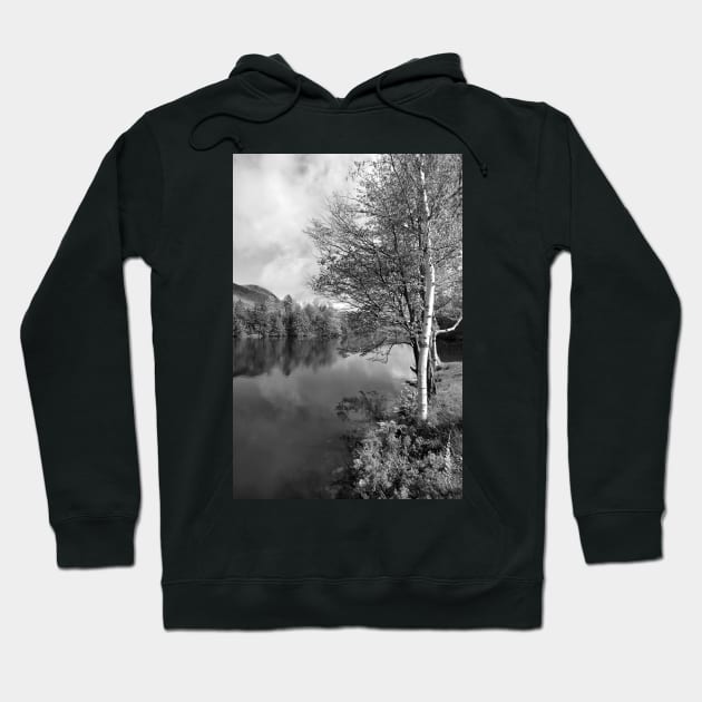 Lake Birch Trees Hoodie by srwdesign